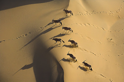 africa_02.jpg