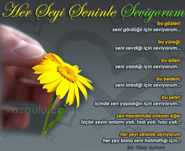 herseyi_seninle_seviyorum.jpg