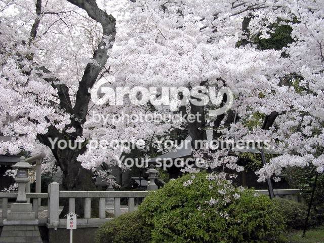 clip_image009.jpg