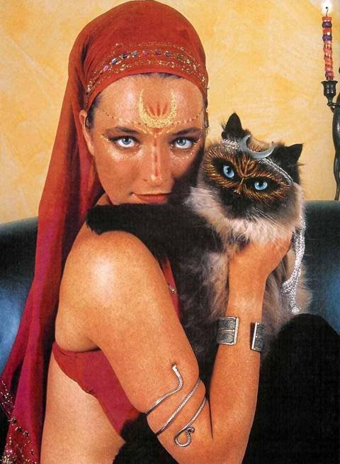 13_cat_55630.jpg