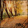 th_wwwmsnnedircom_msn_avatarlar10016.gif