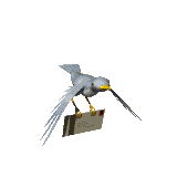 bird27.gif