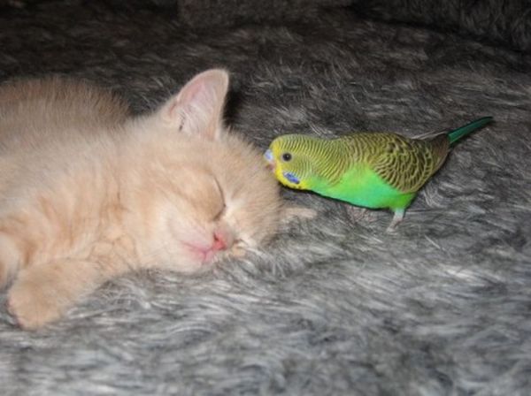 06_best_friends.jpg