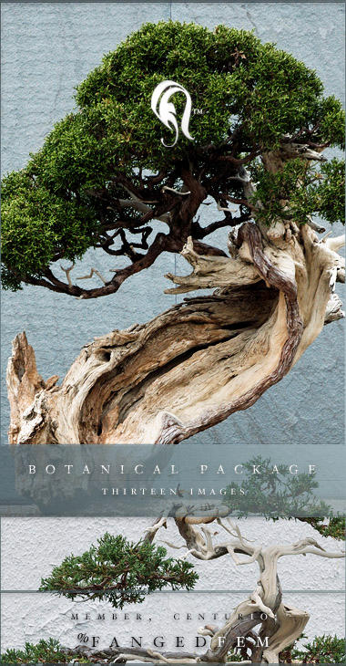 Package___Botanical___1_by_resurgere.jpg