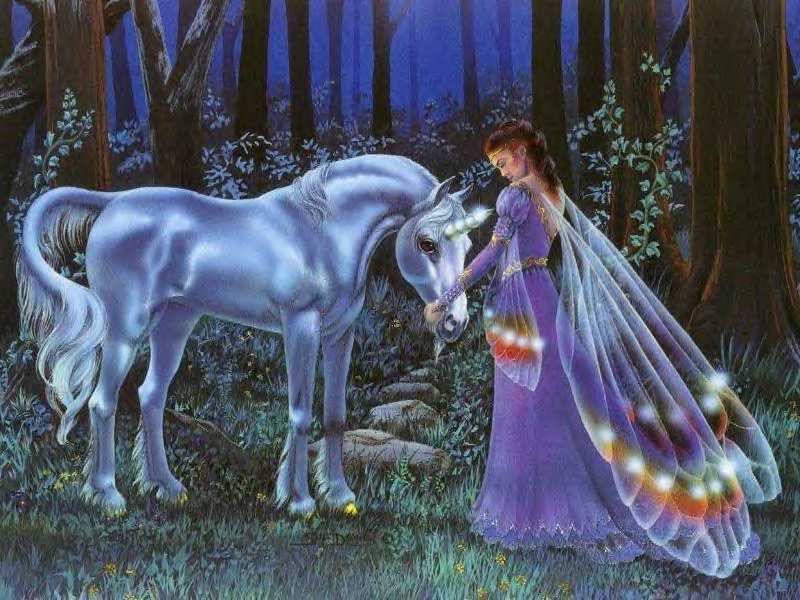 fairy-unicorn.jpg