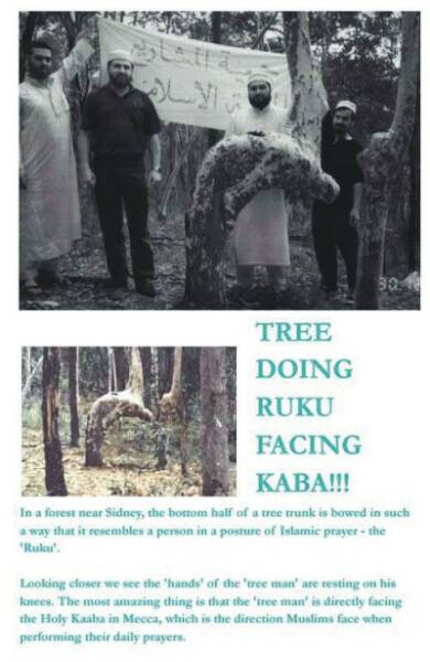 Shaam_Tree_in_Ruku_Facing_Kaba.jpg